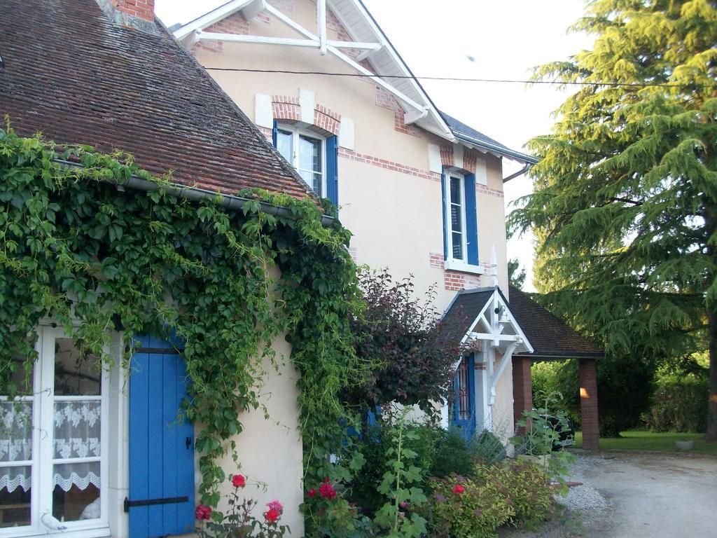 Loire, Chateaux, Et Vignes Onzain Buitenkant foto